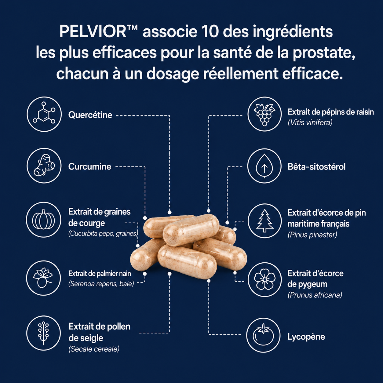 PELVIOR ™